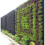 Vertical Gardens